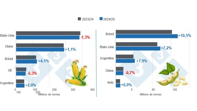 Graphique 1. Projection de récolte des principaux producteurs mondiaux de maïs et de soja - Campagne 2024/25 versus cycle 2023/24 - dernière mise à jour : 10 décembre 2024. Préparé par éditorial 333 avec les données du FAS - USDA.
