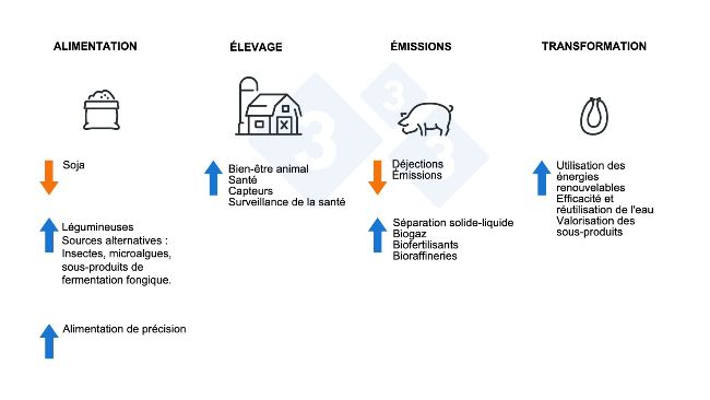 Comment rendre le secteur porcin plus durable ?
