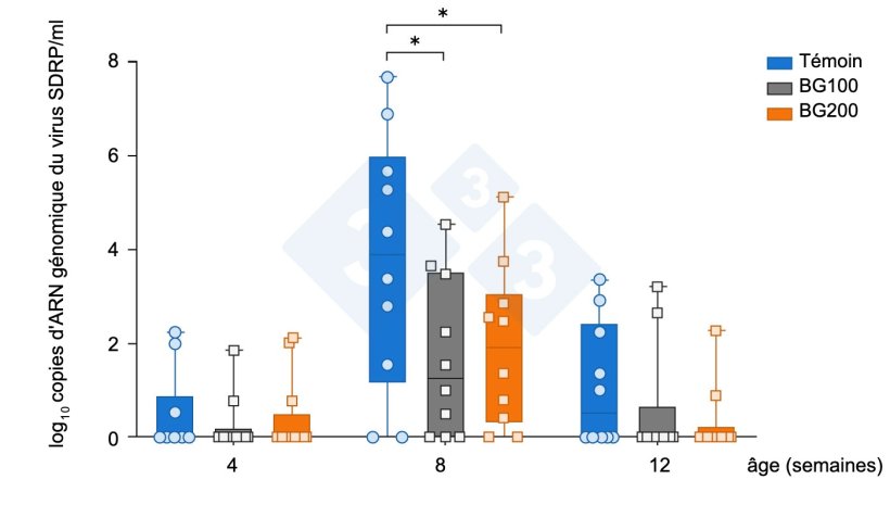 Figure 6 : Réduction précoce de la virémie du SDRP MLV par la supplémentation en bêta-glucane (Chuaychu et al., 2024). Des sérums de porcs expérimentaux ont été sélectionnés au hasard dans chaque groupe (n=10) et soumis à l'extraction de l'ARN génomique viral. L'ARN génomique du SDRPv a été quantifié par qRT-PCR. Les données représentent la moyenne (± SD) de l'ARN génomique du SDRPv. Un astérisque (*) indique des différences significatives (p<0,05) entre les groupes.