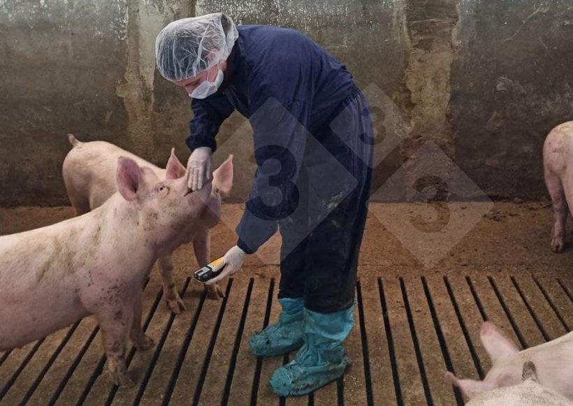 La surveillance de la concentration de gaz est effectu&eacute;e au moins une fois par station et dans au moins trois cases.
