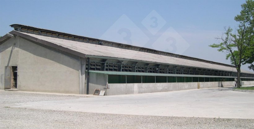 Ouvertures lat&eacute;rales et lanterneau continu pour la ventilation naturelle.
