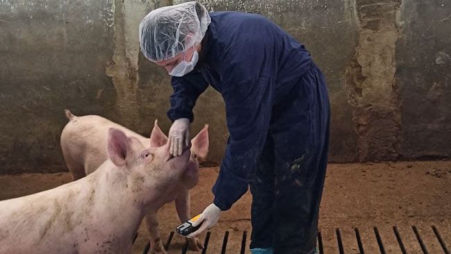 La surveillance de la concentration de gaz est effectu&eacute;e au moins une fois par station et dans au moins trois cases.
