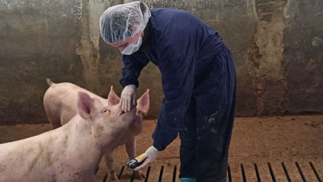 La surveillance de la concentration de gaz est effectuée au moins une fois par station et dans au moins trois cases.