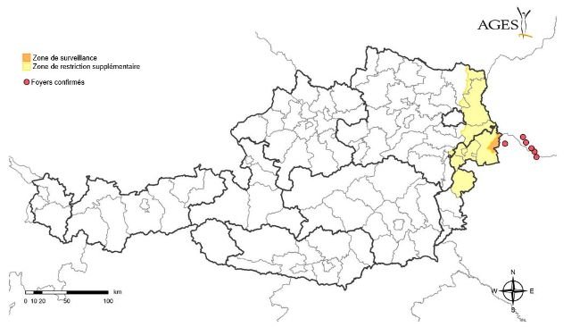 Foyers de fièvre aphteuse en Hongrie et en Slovaquie confirmés entre le 1er janvier et le 26 mars 2025, et zones de restriction et de surveillance mises en place en Autriche. Source : AGES.
