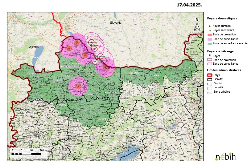Foyers de fièvre aphteuse au 17 avril 2025. Source : Nébih.