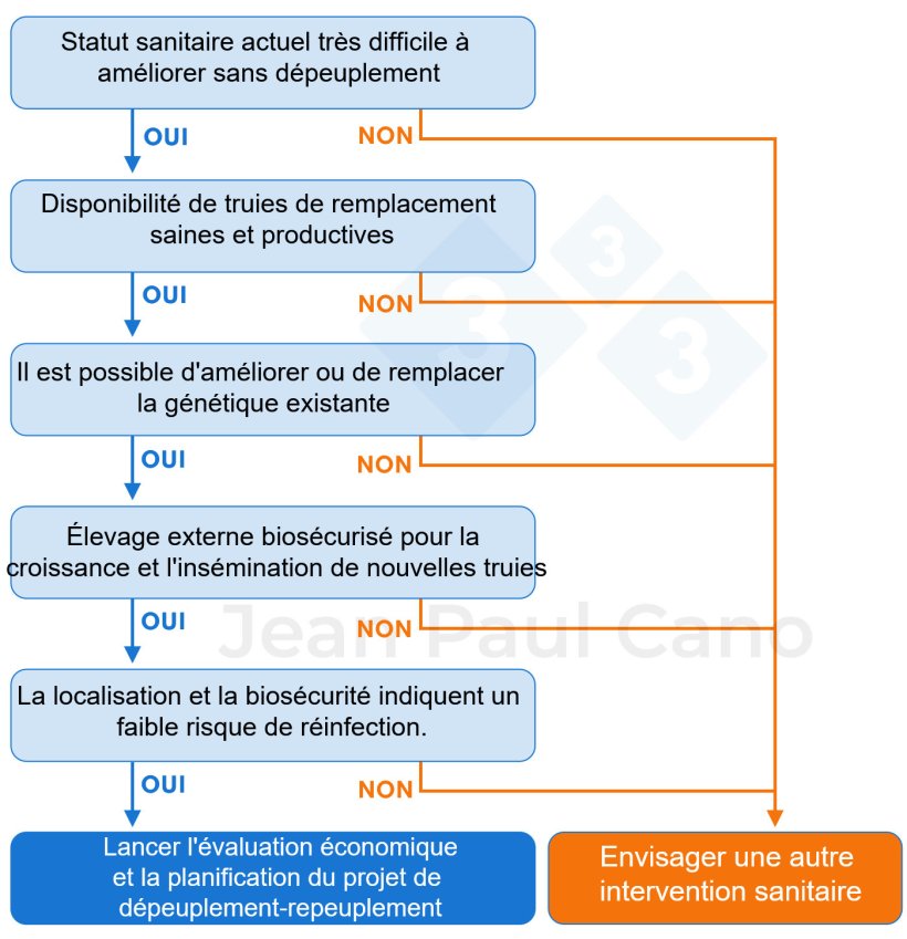 Figure 1. Arbre d&eacute;cisionnel pour &eacute;valuer la faisabilit&eacute; d'un d&eacute;peuplement-repeuplement. Le d&eacute;peuplement-repeuplement est-il int&eacute;ressant pour mon &eacute;levage ?

