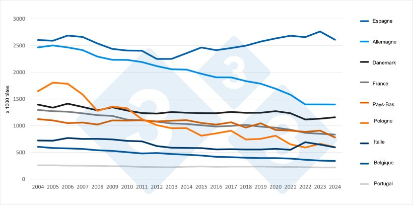 &Eacute;volution du nombre de truies dans les principaux pays producteurs de l&rsquo;UE (2004-2024). Source : 333 d&rsquo;apr&egrave;s les donn&eacute;es d&rsquo;Eurostat.
