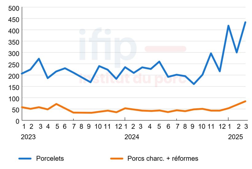 Importations mensuelles espagnoles de porcs vivants (milliers de t&ecirc;tes). Source : IFIP d&rsquo;apr&egrave;s douanes Eurostat