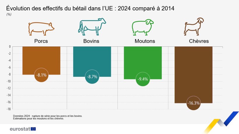 &Eacute;volution du cheptel dans l&rsquo;UE. Source : Eurostat.
