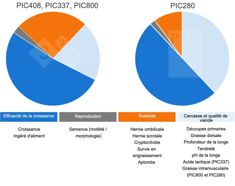 Objectifs de s&eacute;lection dans les lign&eacute;es terminales PIC
