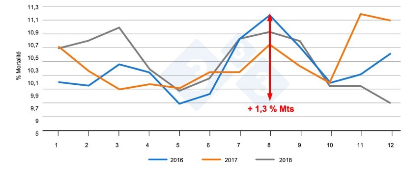 Figure 2. Évolution de la mortalité chez les porcelets au fil des mois. Source : PigChamp Pro Europe