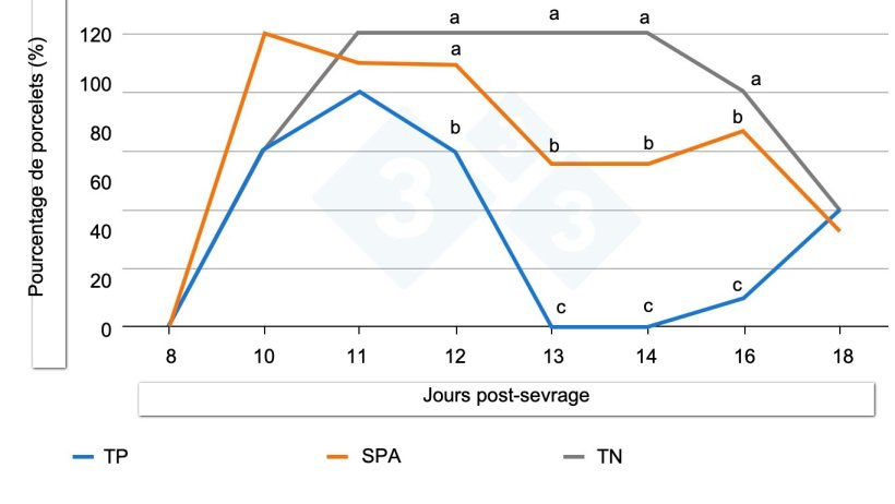 Figure 2. Effet de l'inoculation de F4-ETEC (10 jours apr&egrave;s le sevrage) et pourcentage de porcelets excr&eacute;tant la bact&eacute;rie (Source : Torres-Pitarch et al., 2025). Les lettres diff&eacute;rentes pour chaque jour repr&eacute;sentent des diff&eacute;rences significatives (p < 0,05). CP = t&eacute;moin positif (colistine), CN = t&eacute;moin n&eacute;gatif, SPA = solution phytog&eacute;nique pour aliments.

La colistine (Colisol 250 000 UI/ml) a &eacute;t&eacute; utilis&eacute;e comme t&eacute;moin positif et administr&eacute;e dans l'eau de boisson entre le jour 8 et le jour 14 apr&egrave;s sevrage. La colistine a &eacute;t&eacute; utilis&eacute;e comme r&eacute;f&eacute;rence contre E. coli, malgr&eacute; les restrictions actuelles concernant son utilisation.
