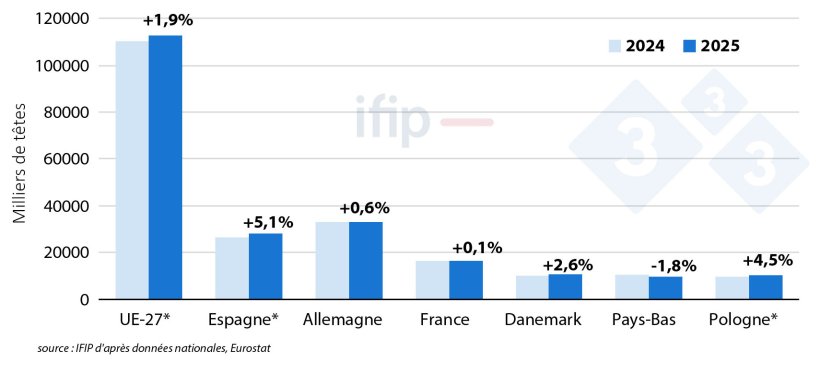 Nombre de porcs abattus en Europe (en milliers de&nbsp;t&ecirc;tes; &euro; &eacute;vol. 2025/24- cumul 9 mois ou *6 mois).
