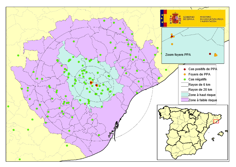 Localisation des 9 foyers chez les sangliers sauvages et des sangliers retrouv&eacute;s morts n&eacute;gatifs d&eacute;tect&eacute;s en Catalogne (Source : MAPA).

