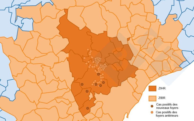 Localisation détaillée des 162 cas de sangliers sauvages détectés dans la zone infectée. Cercle clair : cas des foyers antérieurs. Cercle foncé : nouveaux cas notifiés (Source : Departament d’Agricultura, Ramaderia, Pesca i Alimentació).