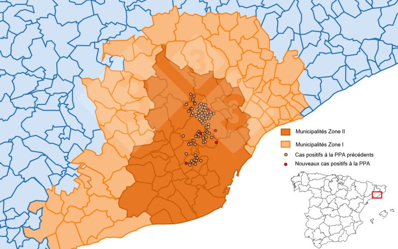 Localisation des 40 foyers chez les sangliers sauvages et des sangliers capturés ou retrouvés morts négatifs détectés dans la zone restreinte II (Source : MAPA).