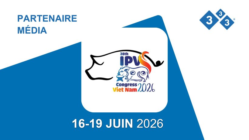 333-IPVS