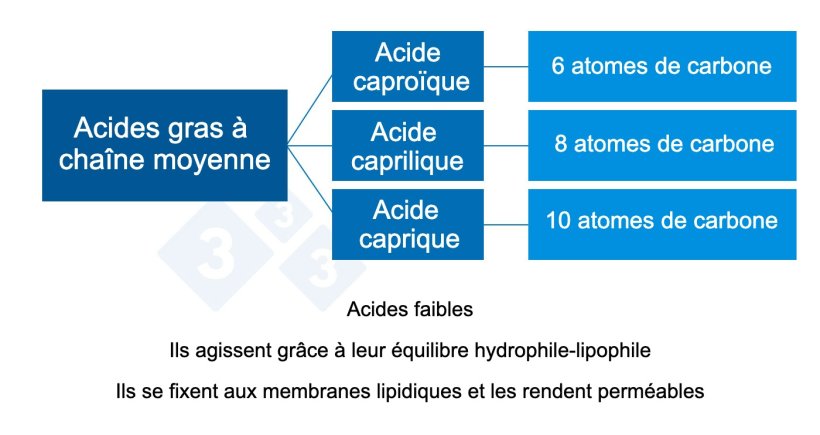Graphique 2 : Acides organiques à chaîne moyenne.