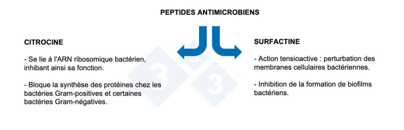 Graphique 3 : Propriétés des peptides antimicrobiens.