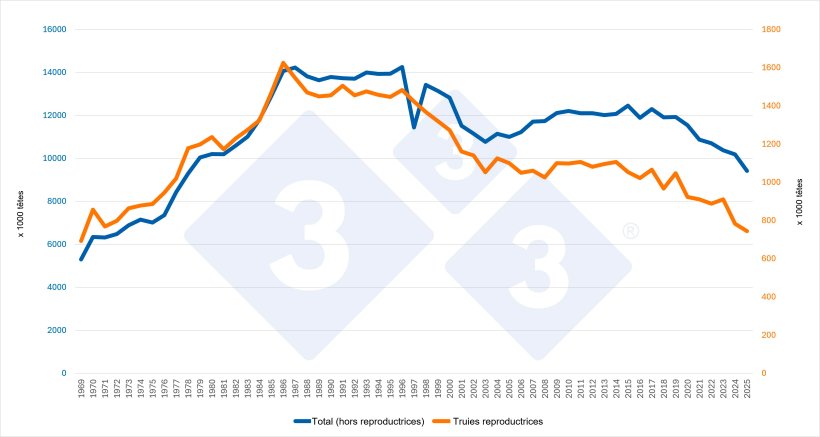 Évolution du cheptel porcin total (hors reproductrices) et du cheptel de truies reproductrices aux Pays-Bas. Source : 333 d’après les données d’Eurostat.