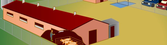 Les points-cl&eacute;s de la bios&eacute;curit&eacute;