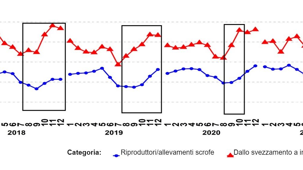 Grafico 1. Percentuale di campioni PCR positivi per le categorie di riproduttori e suini dallo svezzamento alla vendita. I riquadri&nbsp;neri&nbsp;mostrano i picchi pi&ugrave; ripidi e/o precoci nei dati dallo svezzamento alla vendita rispetto a quelli dei riproduttori/scrofe.&nbsp;Fonte:&nbsp;ISU-VDL: Iowa State University Veterinary and Diagnostic Laboratory; UMN-VDL: University of Minnesota Veterinary and Diagnostic Laboratory; SDSU-ADRDL; South Dakota State University Animal Disease Research and Diagnostic Laboratory; KSU-VDL: Kansas State University Veterinary and Diagnostic Laboratory; OH-ADDL: Ohio Animal Disease and Diagnostic Laboratory.
