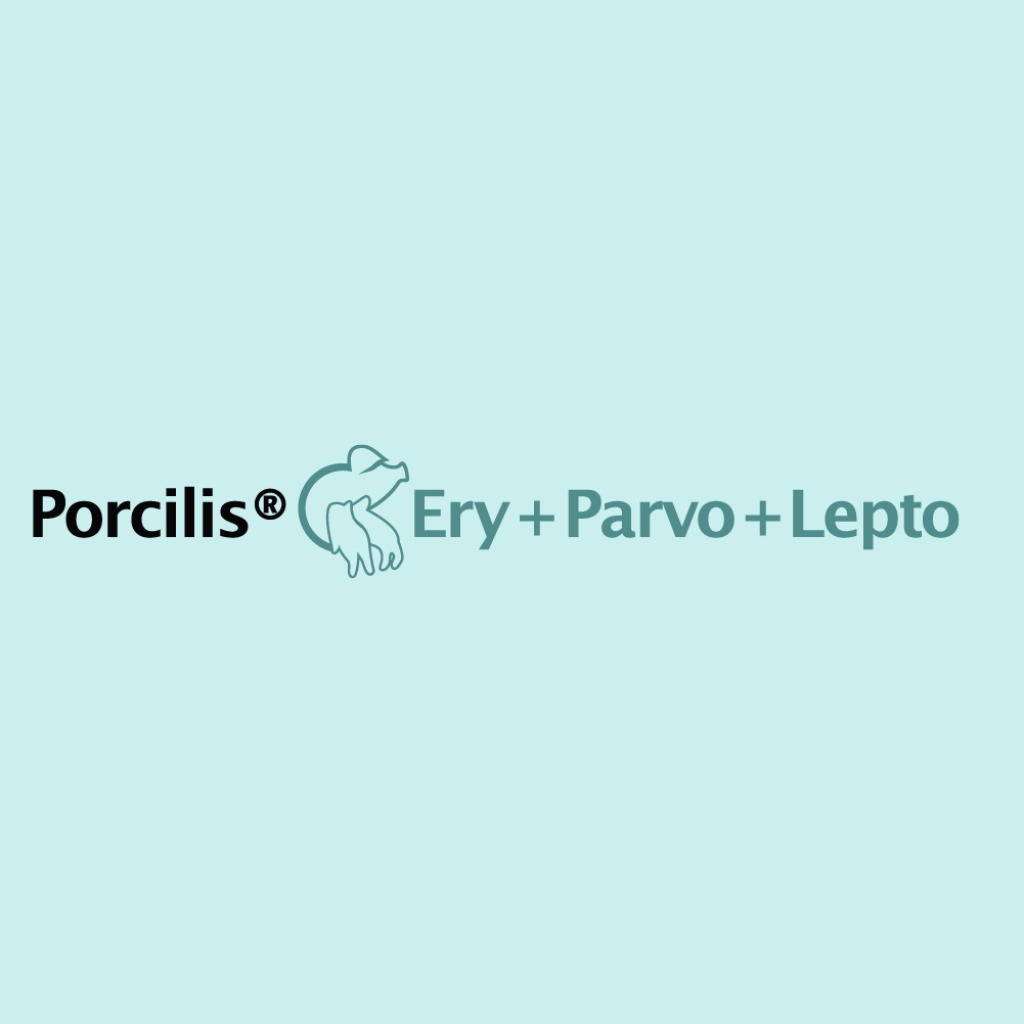 Vacuna: Porcilis® Ery+Parvo+Lepto